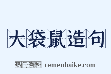 大袋鼠造句是什么意思的图片